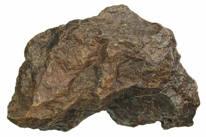 Chondrite Meteorite ( g) - Western Sahara Desert #296238